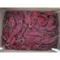 Nouvelle culture Good Quality Export Fresh Yidu Chili